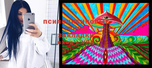 дурь Надым
